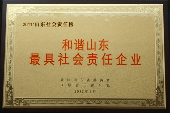201203 和諧山東最具社會責任企業