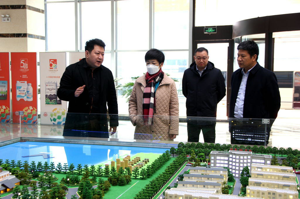 日照市副市長張金梅來潔晶集團調研 日照市副市長張金梅來潔晶集團調研